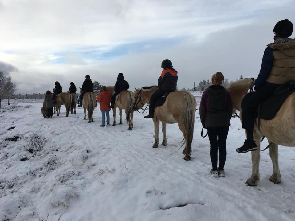 april HSF Norge konferanse for familiekontakter i Oslo 28. mai Forum for nasjonalt nettverk HSF Norge, treff for koordinatorer i Sandefjord 4.-5. september. Opplæring av nye koordinatorer på HSFN 10.