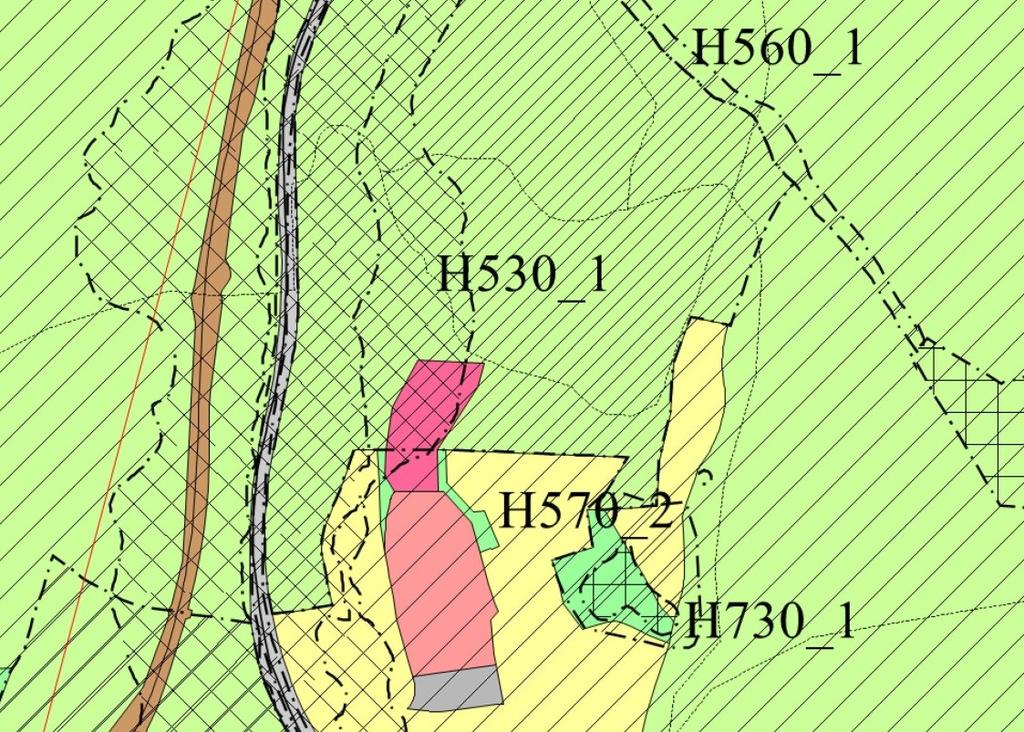 3 Planområdet ligger på kotehøyde c+164 m til c+167 m, og er et småkupert skogsterreng. Det er et lite vannoppkomme i planområdets nordvestre hjørne.