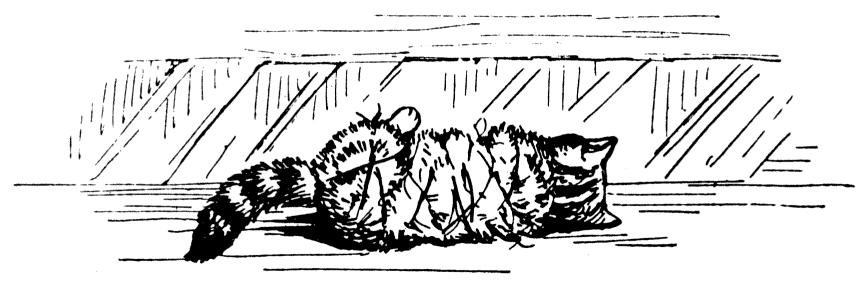 «Anna Maria», sa den gamle rotta (som het Samuel Bustebart), «Anna Maria, lag en saftig kattunge-rullekake som jeg kan ha til middag.