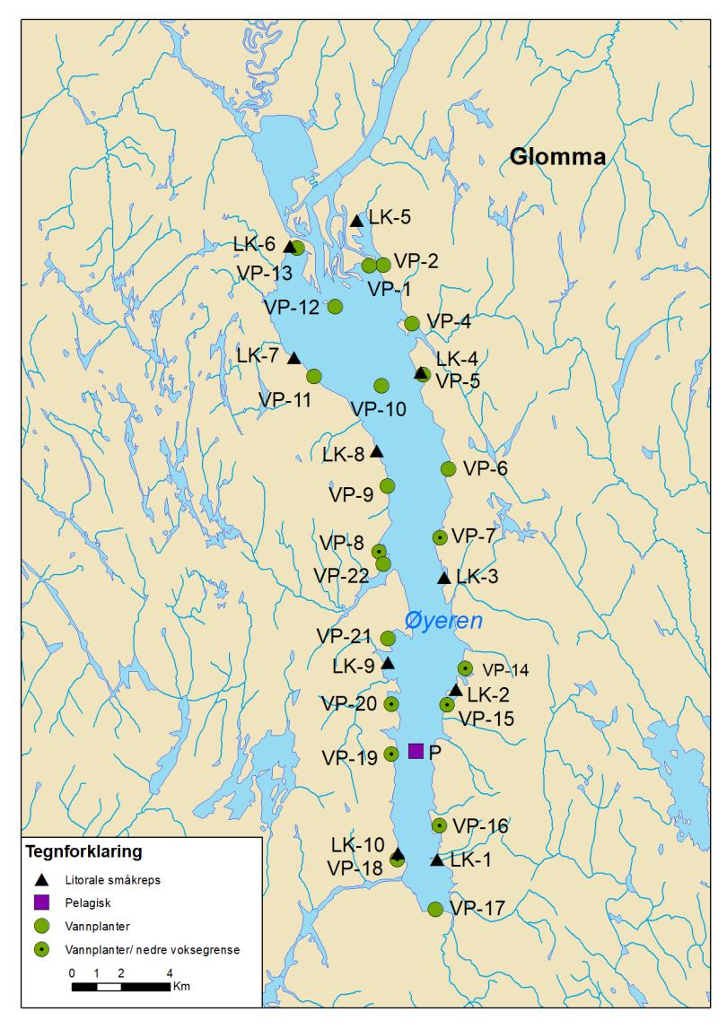 Øyeren* Byglandsfjorden* *horisontal