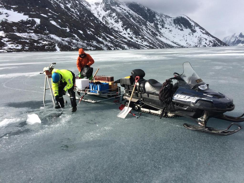 Gjende vinter Figur 4. Pelagisk prøvetaking fra isen på Gjende 4. april 2017 (John Gunnar Dokk og Knut Andreas Eikland Bækkelie, NINA). De pelagiske prøvene ble tatt på posisjonen angitt i tabell 5.