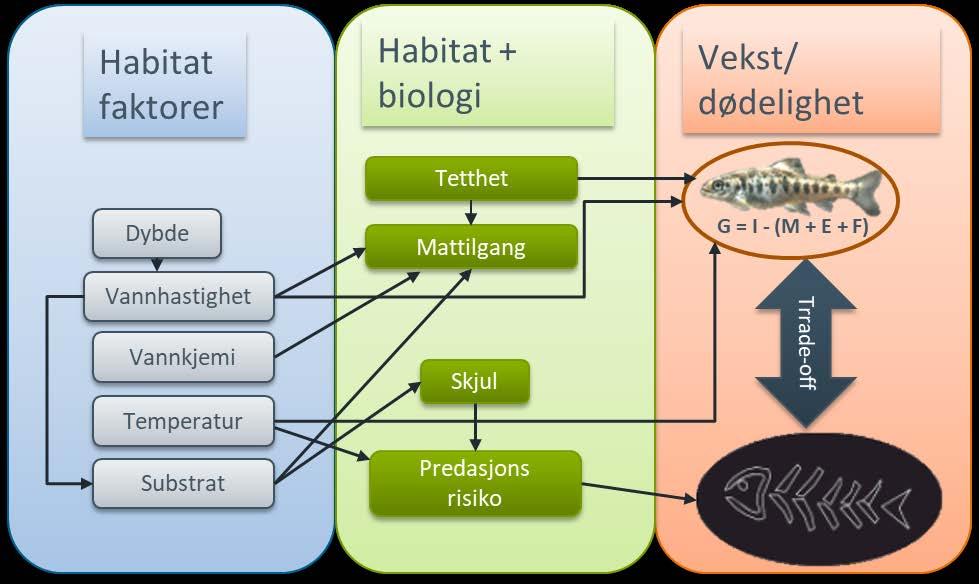 endrer seg med