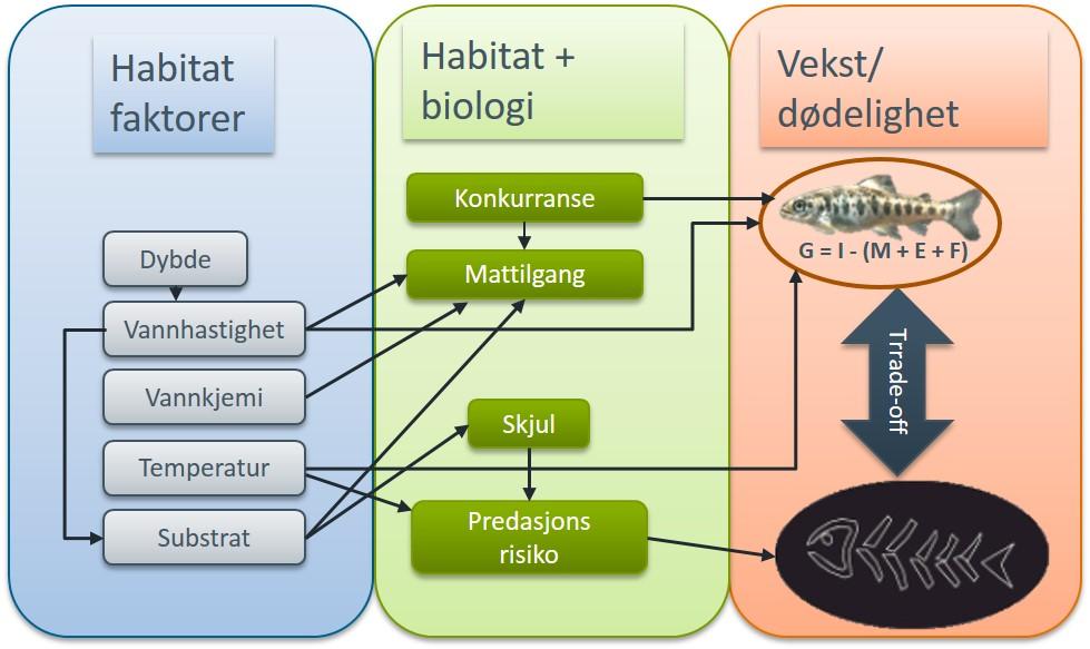 Avslutning Forskjell mellom bestandene