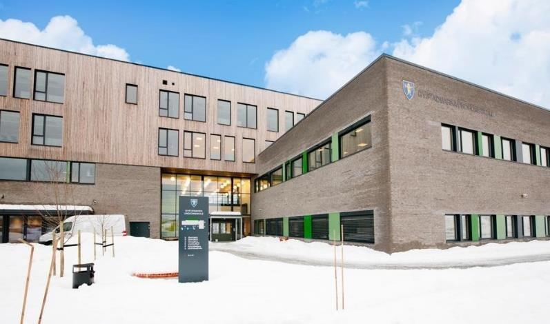 Spikkestad, Gystadmarka, Rygge Ny skole på Åskollen (sak