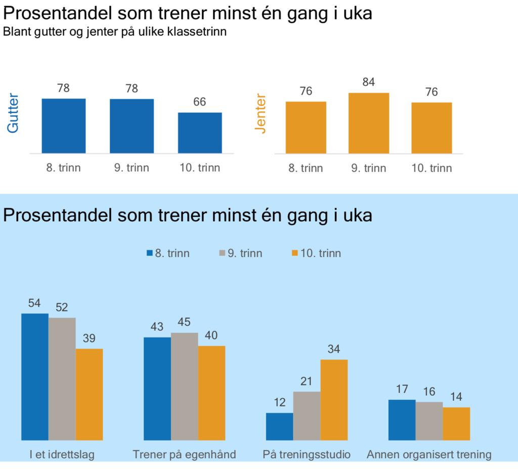 42 9.4 Fysisk aktivitet I løpet av ungdomstiden er det mange som slutter i idrettslagene. En god del av disse begynner å trene på treningssenter eller de trener på egen hånd.