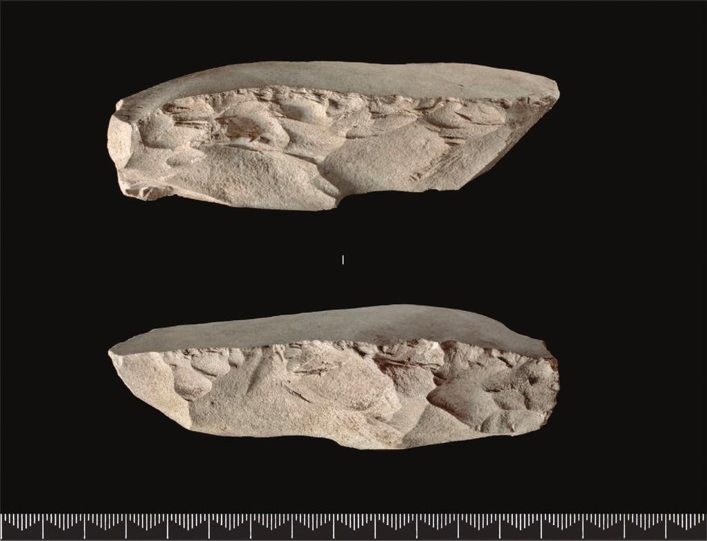 3. vallermyrene 4 41 Figur 3.10. Emne til håndtakskjerne av flint. Foto: Ellen C. Holte, KHM. Figure 3.10. Handle-core preform of flint. også blitt klassifisert som en plattformkjerne.