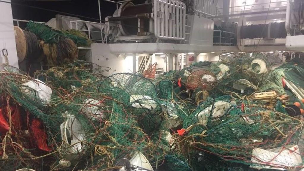 I 2018 samlet Fiskeridirektoratet inn 8600 tapte krabbeteiner og 270 km med tauverk
