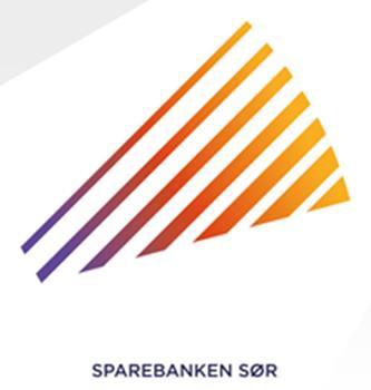 Eierstyring og selskapsledelse Sparebanken Sør 2019 Versjon Dato Dokumenteier Status Godkjenning Beslutning 01 12.06.2014 Direktør Konsernstab Vedtatt 19.06.2014 Styret 02 18.08.