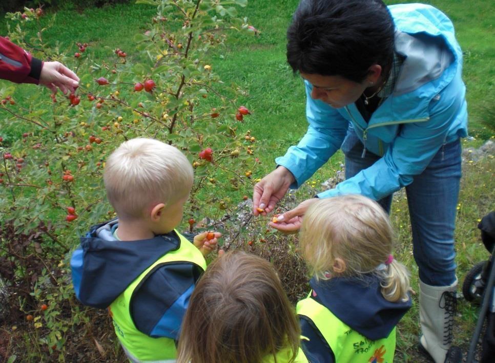 19 Tre barn og en voksen i naturen som ser på busker med bær Pedagogisk ledelse og barnehagen som lærende organisasjon Kjennetegn på god praksis: Barnehagen er utviklingsorientert Barnehagen har en