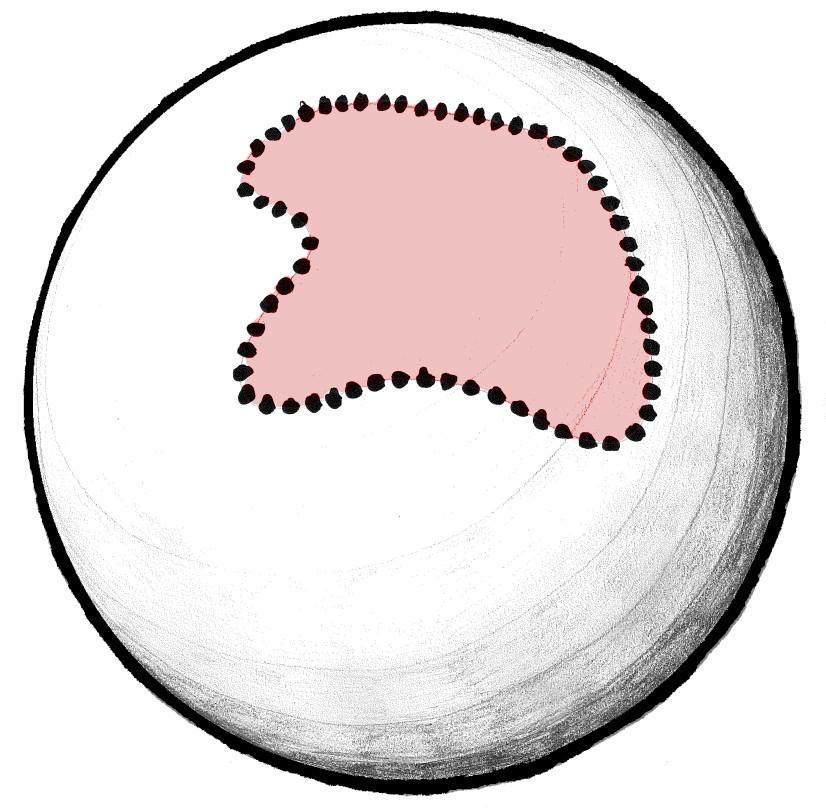 BERRY PHASES & GROUPS Example : G = SU(2), highest-weight state j Parameter space = SU(2)/S 1