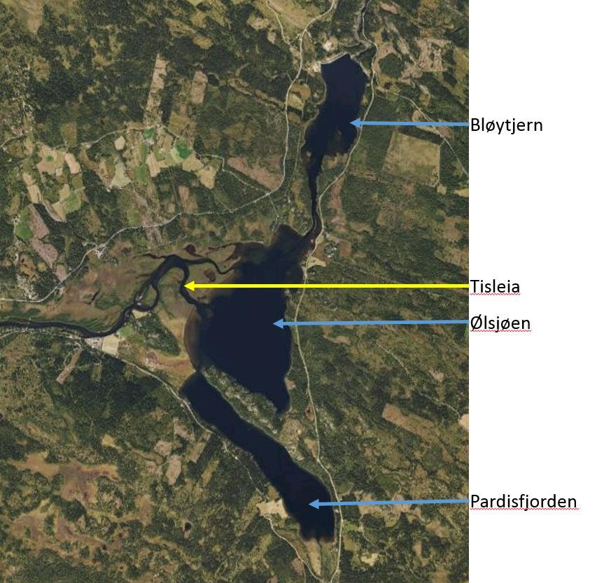 Side 32 Ølsjøen/Bløytjern Bilde 5: Ortofoto Ølsjøen/Bløytjern/Pardisfjorden. Tisleia kommer inn midt på fra venstre i bildet.