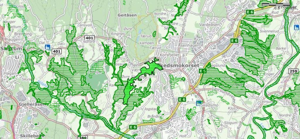 3.1.5 Nedre Skolsegg SV og Møyen ravinen Kartet viser ravinen Nedre Skolsegg SV. Kilde: Naturbase, Miljødirektoratet.