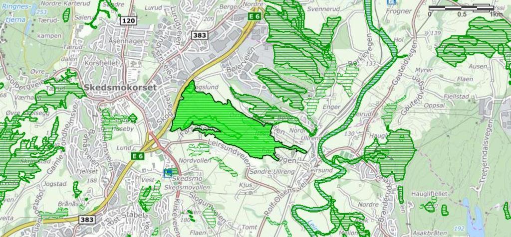 3.1.6 Farseggen, østre del Kartet viser ravinen Farseggen. Kilde: Naturbase, Miljødirektoratet.