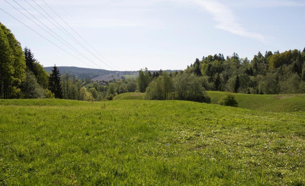 Helt i øst finnes ravinerester som øyer eller halvøyer i åkerlandskapet.