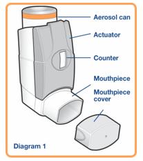 Informasjon til brukeren Flutiform 50 mikrogram/5 mikrogram per dose, inhalasjonsaerosol, suspensjon Flutiform 125 mikrogram/5 mikrogram per dose, inhalasjonsaerosol, suspensjon Flutiform 250