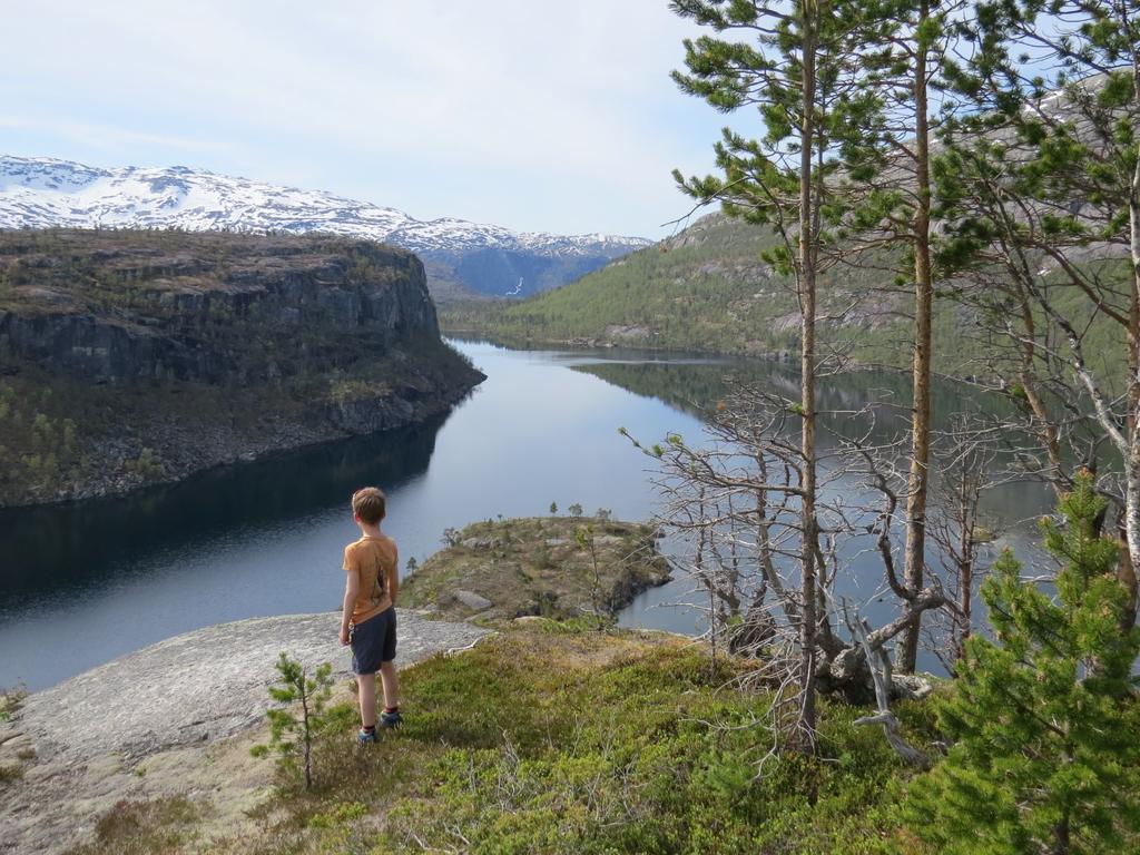 2.3 Kunnskap om reiselivet 2.3.1 Reiselivsstrategi Nordland I 2017 lanserte Nordland fylkeskommune sin strategi for reiseliv- og opplevelsesnæringer i Nordland frem mot 2021.