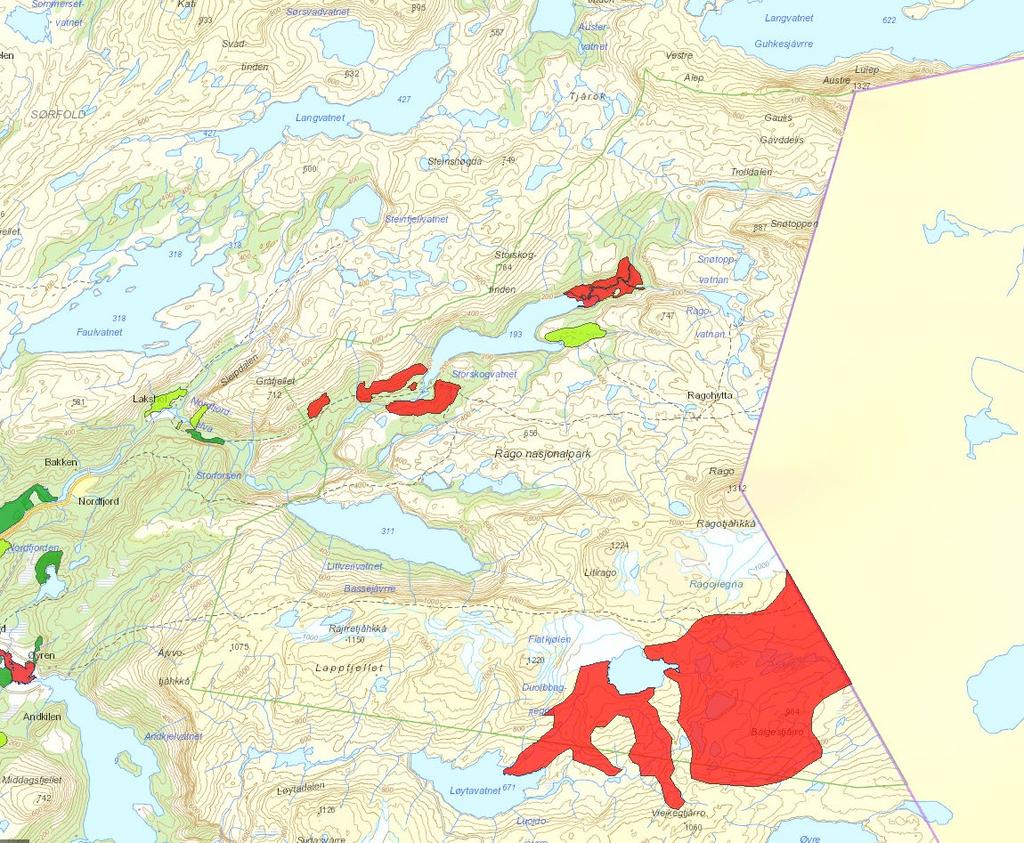 Naturtypekartleggingen resulterte i avgrensing av to områder i sør med baserik fjellvegetasjon vurdert til verdi A, nasjonal verdi, se kart 1.