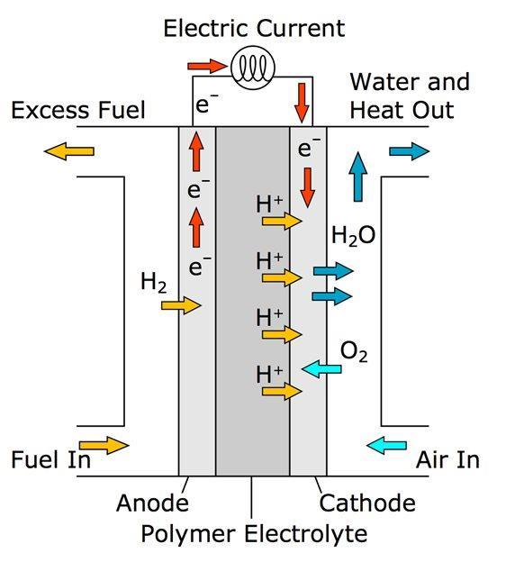 HYDROGENDRIFT Slik fungerer Fuel cell: Hydrogen og oksygen føres inn fra hver sin side i brenselcellen Positivt proton i hydrogenatomet trenger gjennom elektrolytt membranen på sin vei fra anode til
