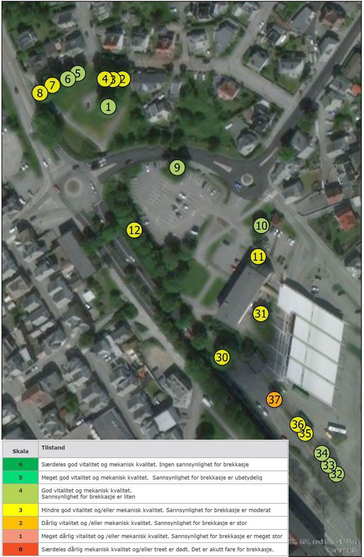 2.2 Naturmangfold i området Tilstand på trær i området nord i planområdet Det er gjort