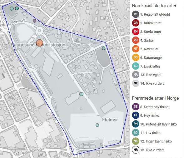 Svartelistede og rødlistede arter fra Artskart i Artsdatabanken I Artskart er det registrert 72 observasjoner fordelt på 54 ulike arter (10.1.2019) innenfor planavgrensningen.