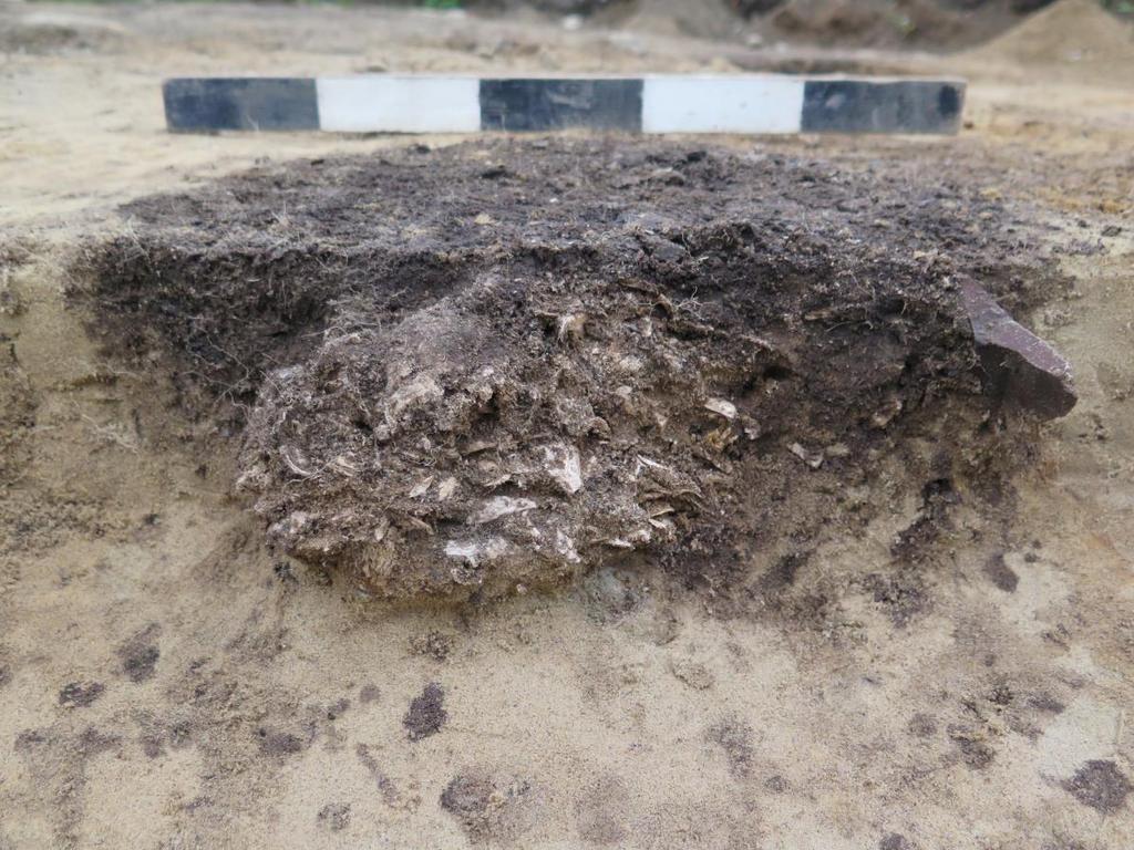 4.2.2 2000 år gamle graver i Vestfossen I forbindelse med bygging av en privat garasje ble det oppdaget tre forhistoriske graver på Nordbyhaugen i Øvre Eiker.