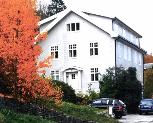 Ringheim, Ålmannavegen 30, Hol sentrum, Hol kommune: Huset på Ringheim, bygd i 1916, har en viktig plass i bygdas historie som den første