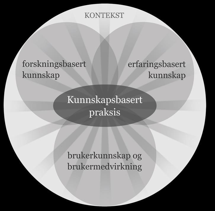 Fokus i praksis Praksis Vernepleiestudentenenes viktigste læringsarena Anvendelse av teori i