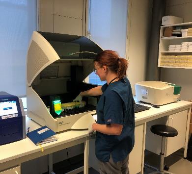 Digital droplet PCR Antall DNA-kopier fra