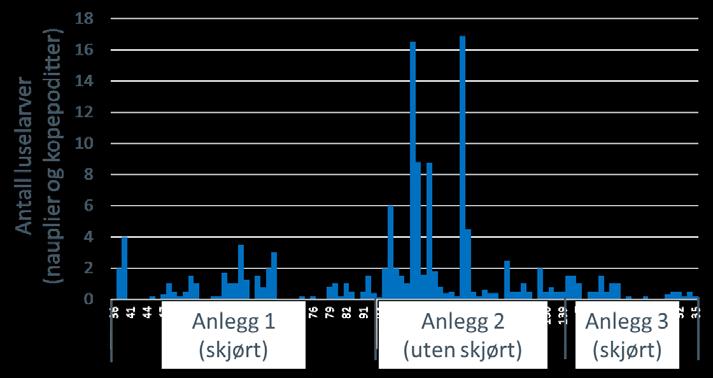 Luselarver ved fire oppdrettsanlegg Stor variasjon ift tid, dyp og posisjon, og lite