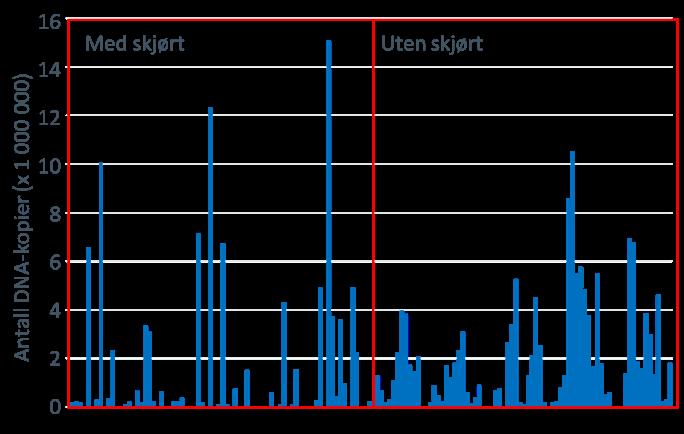 dette påvirker lusetettheten Mange lave verdier selv når planktonprøver fra 6-10 m 3