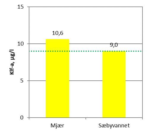 3.2 Resultater biologi 3.2.1 Klorofyll a og planteplankton Analyse av klorofyll-a og algevolum er to forskjellige måter å beregne algebiomassen på.