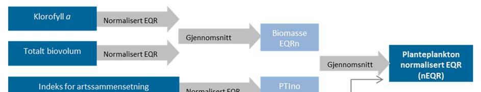 Figur V3-1. Figuren viser hvordan planteplanktonideksen beregnes: Klorofyll a, totalt volum og PTI normaliseres og gjennomsnittet benyttes for å beregne en EQRn for planteplankton.