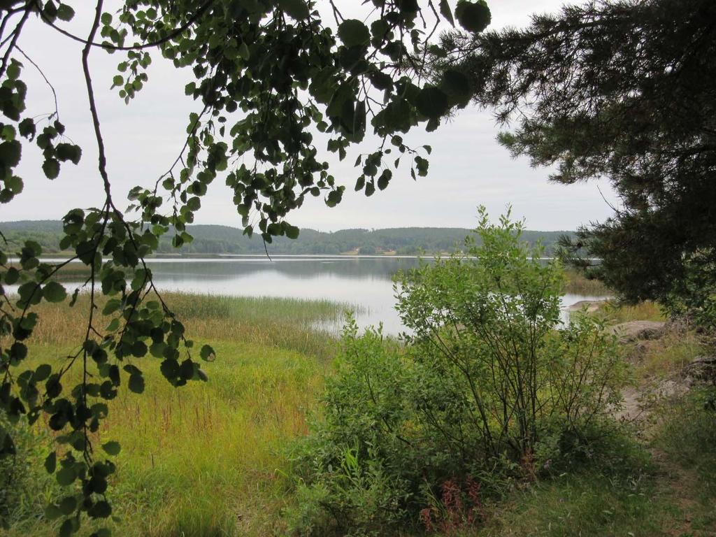 FAKTAARK 2018 VANNOMRÅDEUTVALGET MORSA Sæbyvannet. Foto: Eva Skarbøvik Tilstanden i Morsavassdraget i 2017 I 2017 nådde både Storefjorden, Vanemfjorden og Mjær miljømålet for totalfosfor.