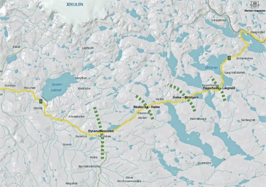 Hardangervidda villreinen. Denne effekten slår inn allerede på et meget lavt trafikk- / aktivitetsnivå.