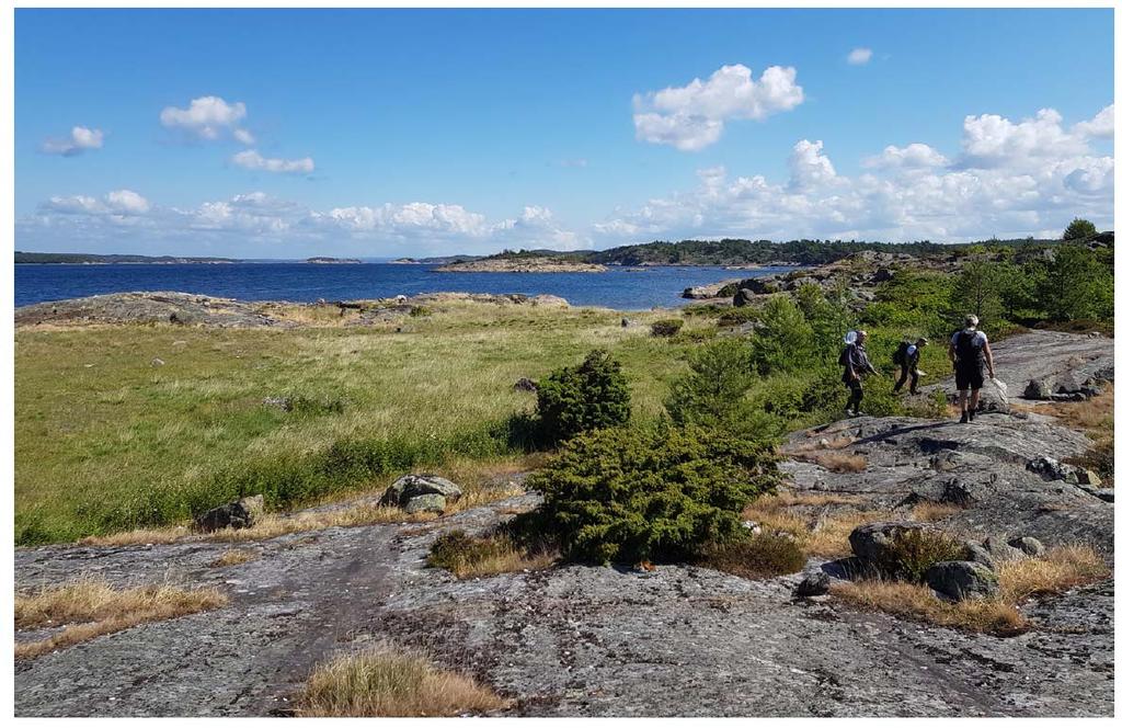 9 Typisk kystnatur på Hvaler, her fra Kupallen på Herføl. Foto: Anders Endrestøl. Tverrfaglige kartleggingsturer Det ble gjennomført 6 felles kartleggingsturer i 2018.