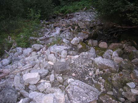 Substratet er grovt med grus og litt sand mellom stor stein med betydelige hulrom. Dette bildet er tatt 18.