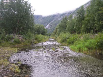 Befaring av Høvla fra samløp Aura til bro: Atle Harby, 20. august 2008, kl 10.45 12.