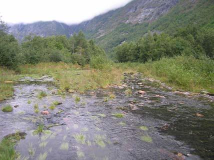 To kulper med ca 5m stryk mellom kulpene.