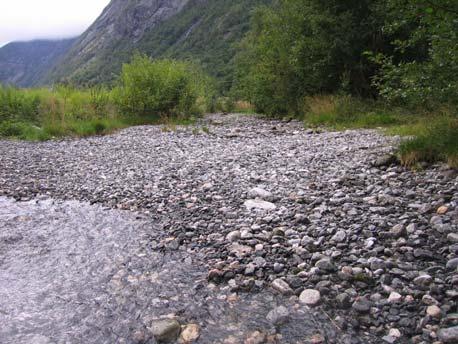 ) ~100m, ~30cm dybde, 3-15cm stein, litt begrodd, overhengende trær.