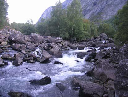 Noe nedstrøms utløpet av Litlevatnet deler elva seg i to løp.