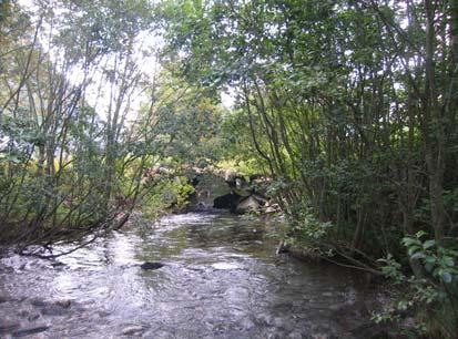 vegetasjon/trær og woody debris, variert strømningsbilde.vannføring Litlevatnet: 2.65 m 3 /s.