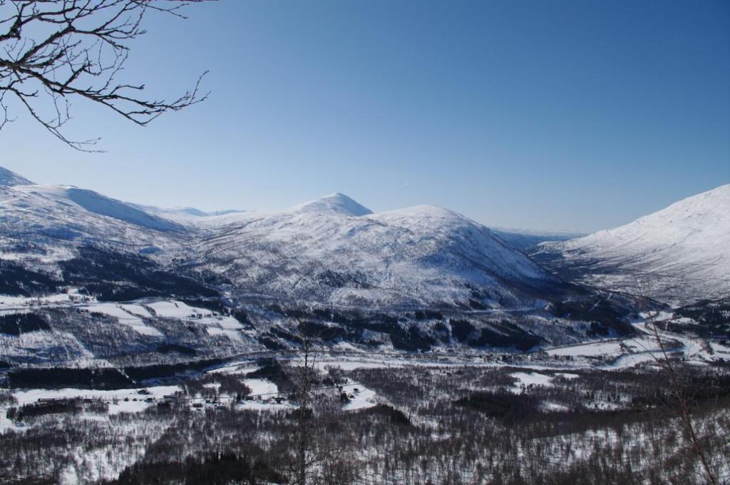 Den planlagte utbyggingen befinner seg i randsonen av Saltfjell- Svartisen nasjonalpark og Storlia naturreservat, med den betydning dette estetisk og visuelt sett har for opplevelsen av