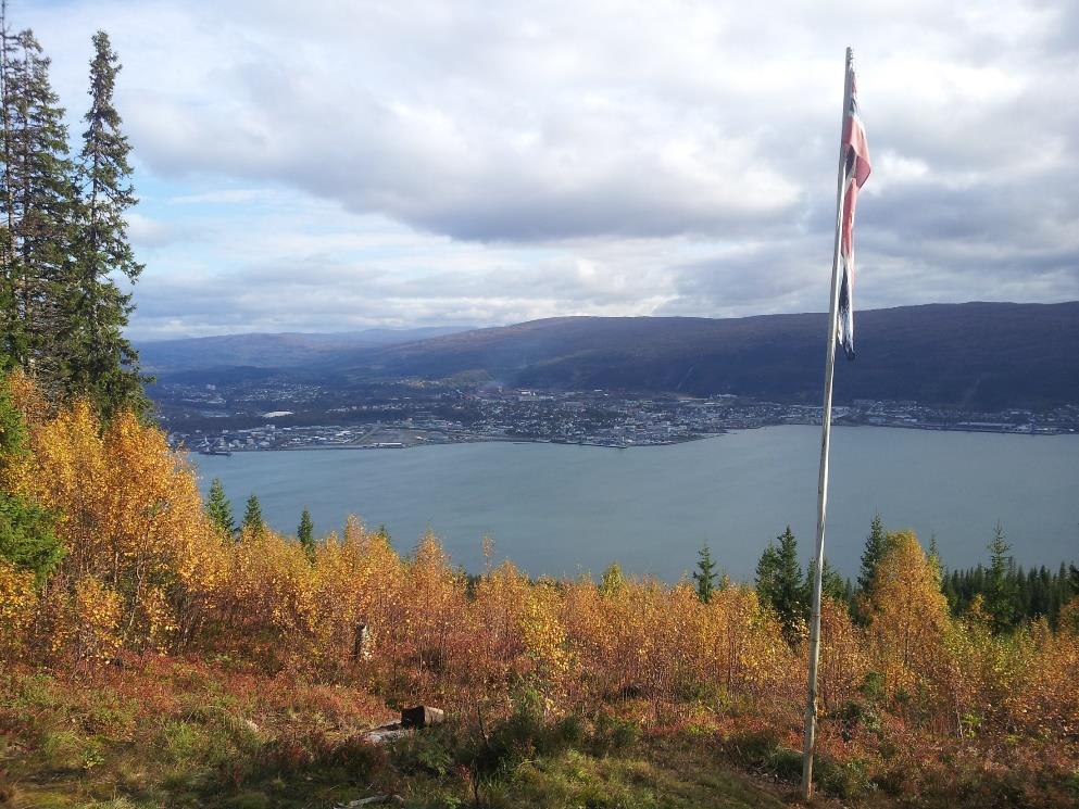 Min bakgrunn Allmennlege/fastlege Sykehjemslege