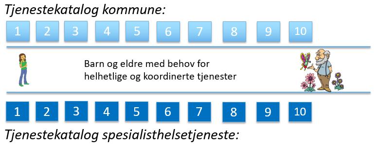 Arbeidsgruppene muligheter og begrensninger - Presentert og drøftet ulik organisering av