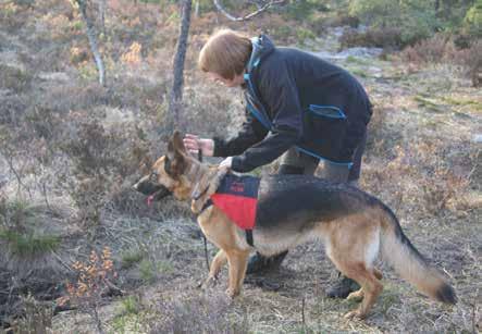 er fra kaffipausen hvor man også går igjennom