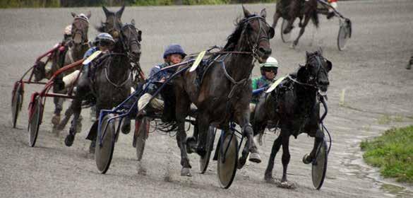 9 10 11 12 2018: 2-0 -0-1 -0-15.9a -5.000 2017: 14-0 -1-3 -6-13.8a -44.000 Dream Sahbra P. 9 16,0m 13,8ak 238.500 7 år Brun V v. Boardwalk Hall* (US) e. Strike Again (CA) v.