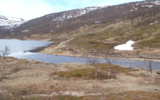 skorpelav som er meget vanskelige å påvise og bestemme (krever ekspert på de ulike gruppene). Potensialet for rødlistede arter vurderes som lavt til middels.