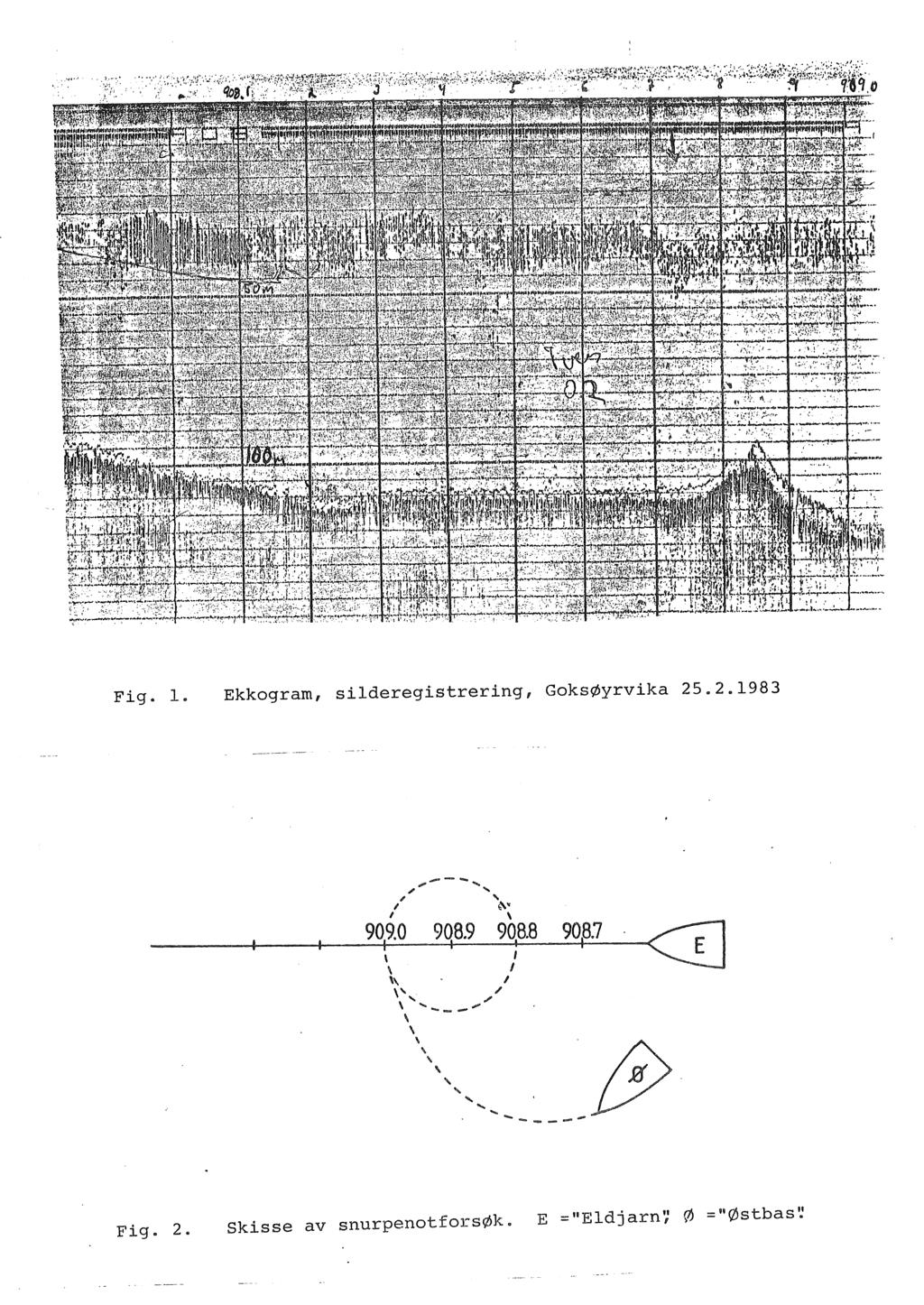 Fig. l. Ekkogram, silderegistrering, GoksØyrvika 25.2.1983 ---.,....., ' ;'... l ~~ l \ ------~--~--~9~~~ o 9~q~a.