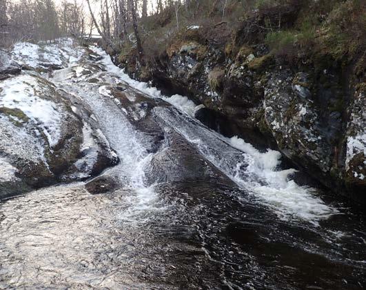 Det ble utført en vannundersøkelse ved utløpet av Kleivevatnet i forbindelse med lokal overvåking av kalkede vassdrag, i regi av Fylkesmannen i Sogn og Fjordane i 1990.