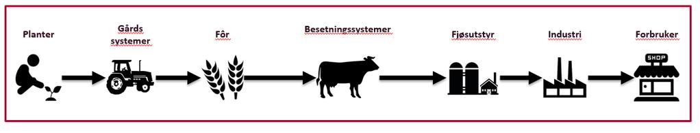 ernæring Effektiv produksjon og